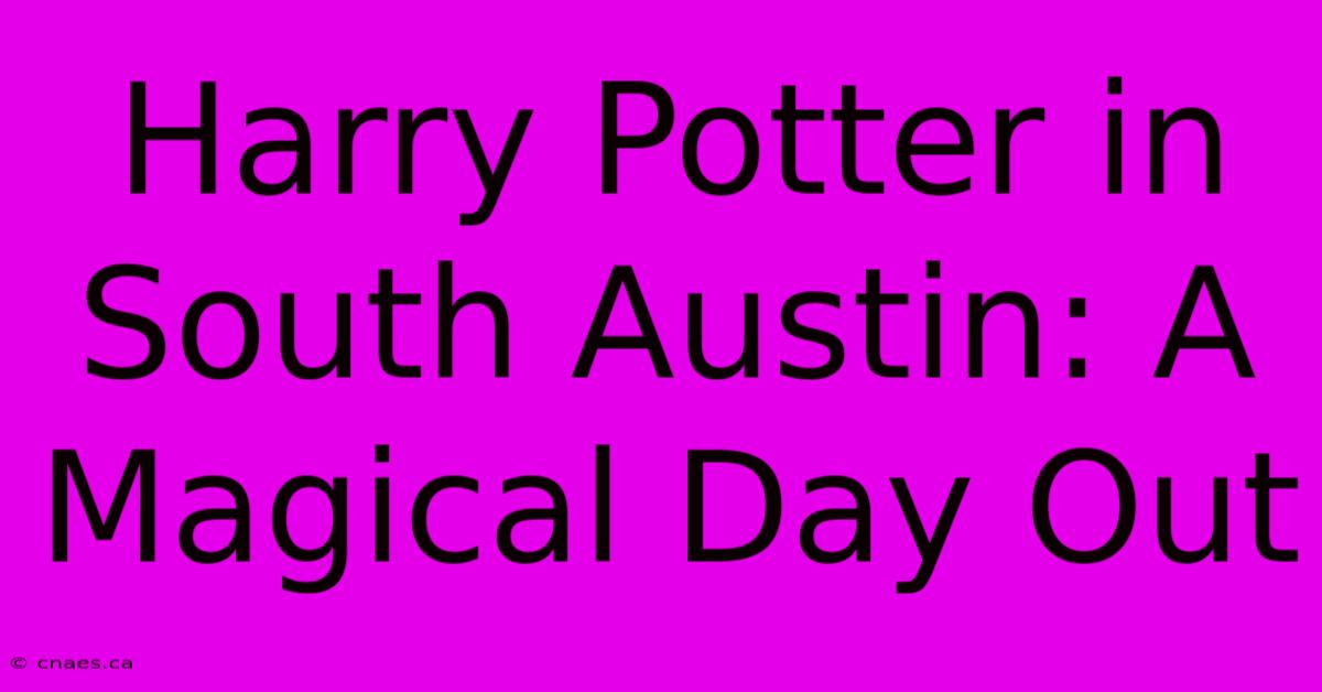 Harry Potter In South Austin: A Magical Day Out