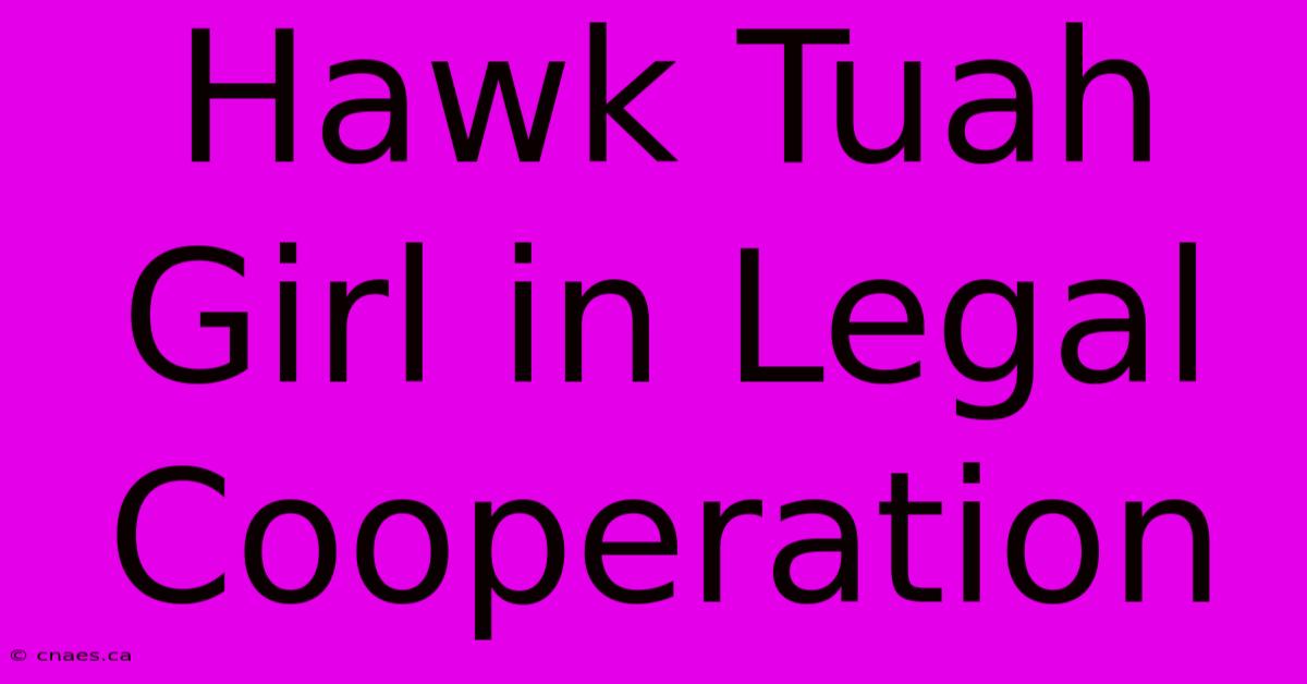 Hawk Tuah Girl In Legal Cooperation