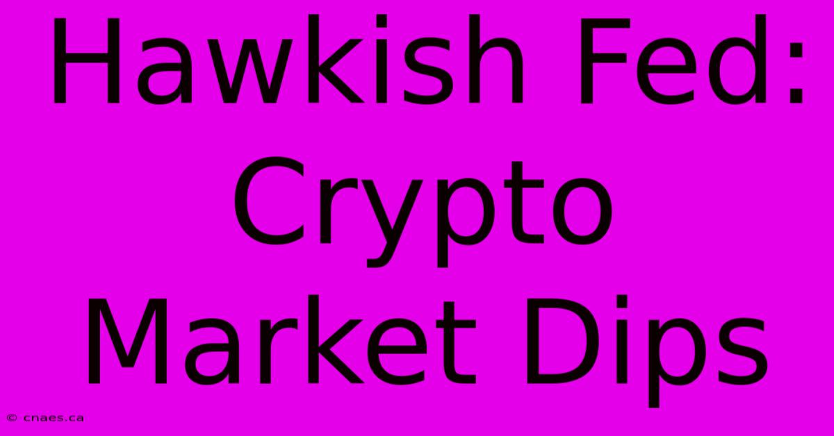 Hawkish Fed: Crypto Market Dips