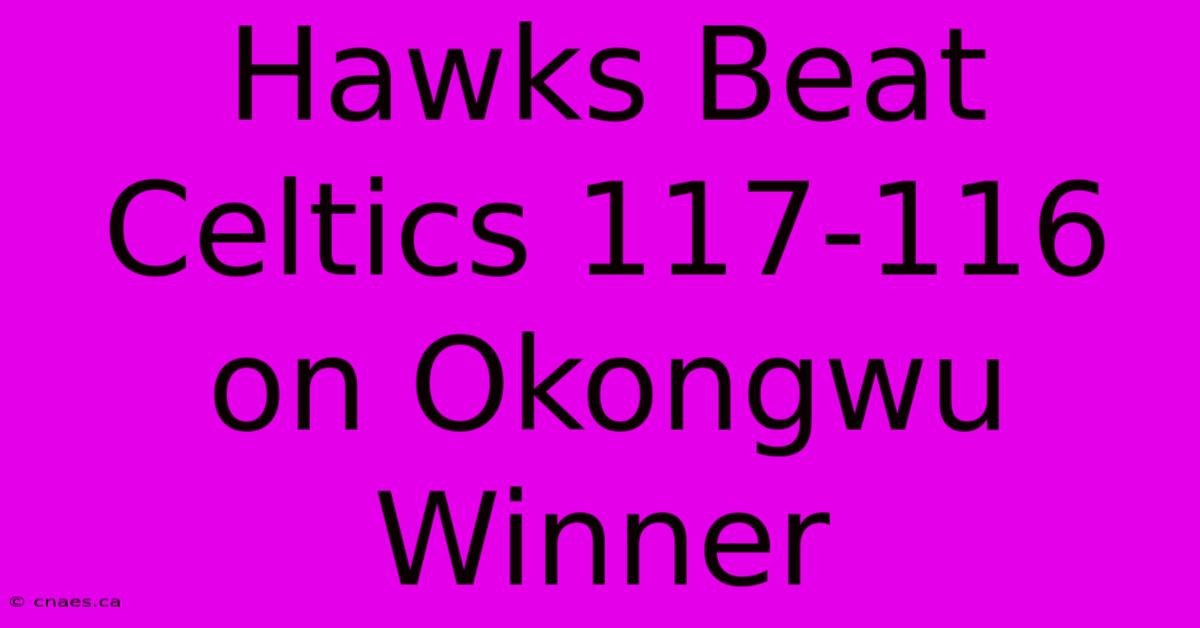 Hawks Beat Celtics 117-116 On Okongwu Winner