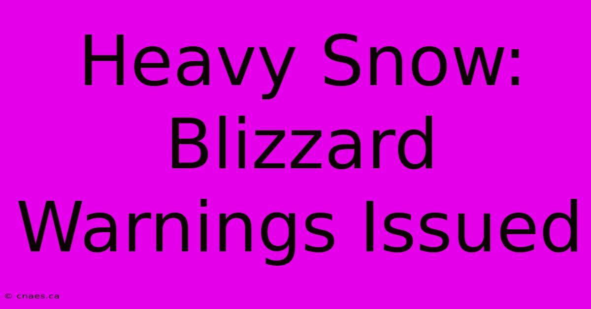 Heavy Snow: Blizzard Warnings Issued