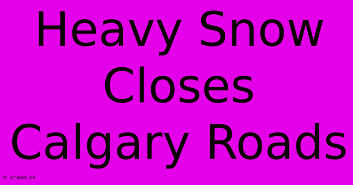 Heavy Snow Closes Calgary Roads