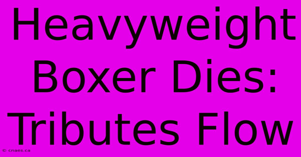 Heavyweight Boxer Dies: Tributes Flow