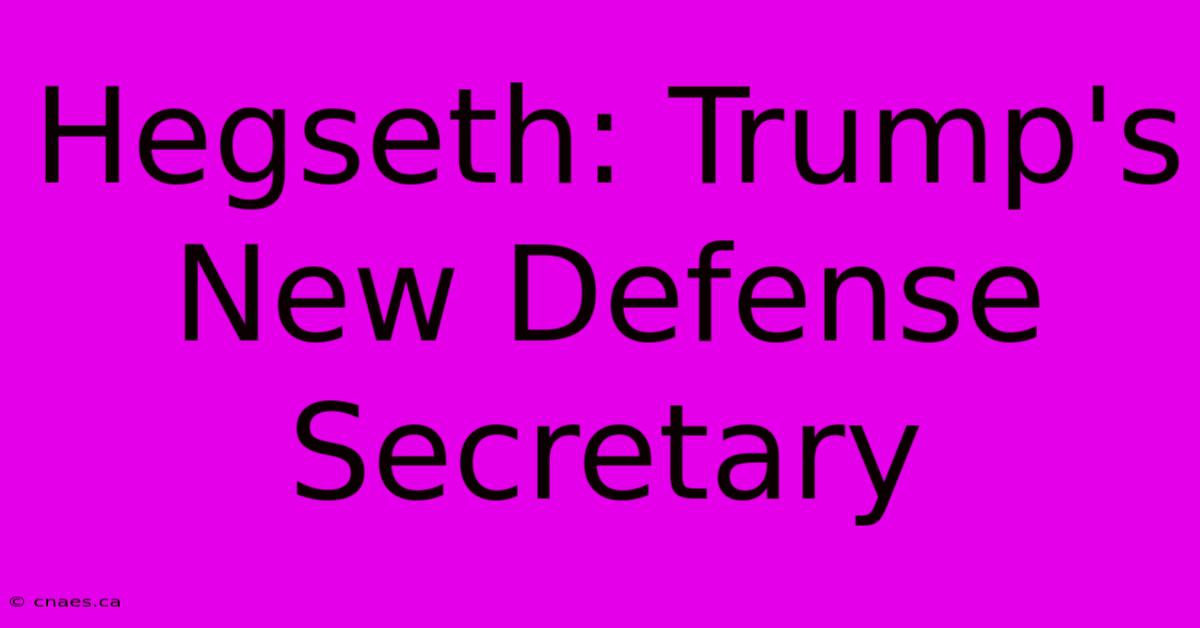 Hegseth: Trump's New Defense Secretary 