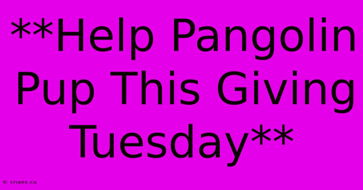 **Help Pangolin Pup This Giving Tuesday**