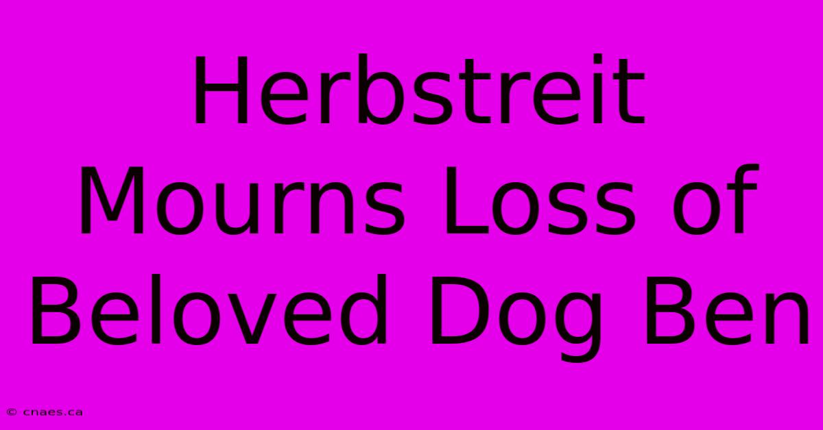 Herbstreit Mourns Loss Of Beloved Dog Ben