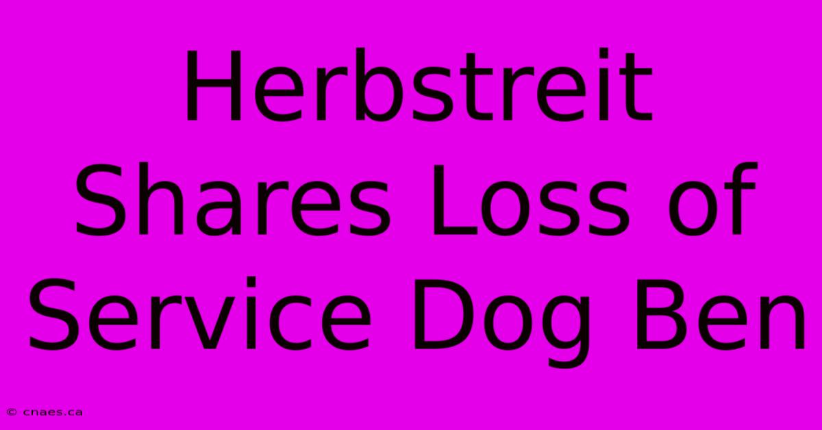 Herbstreit Shares Loss Of Service Dog Ben