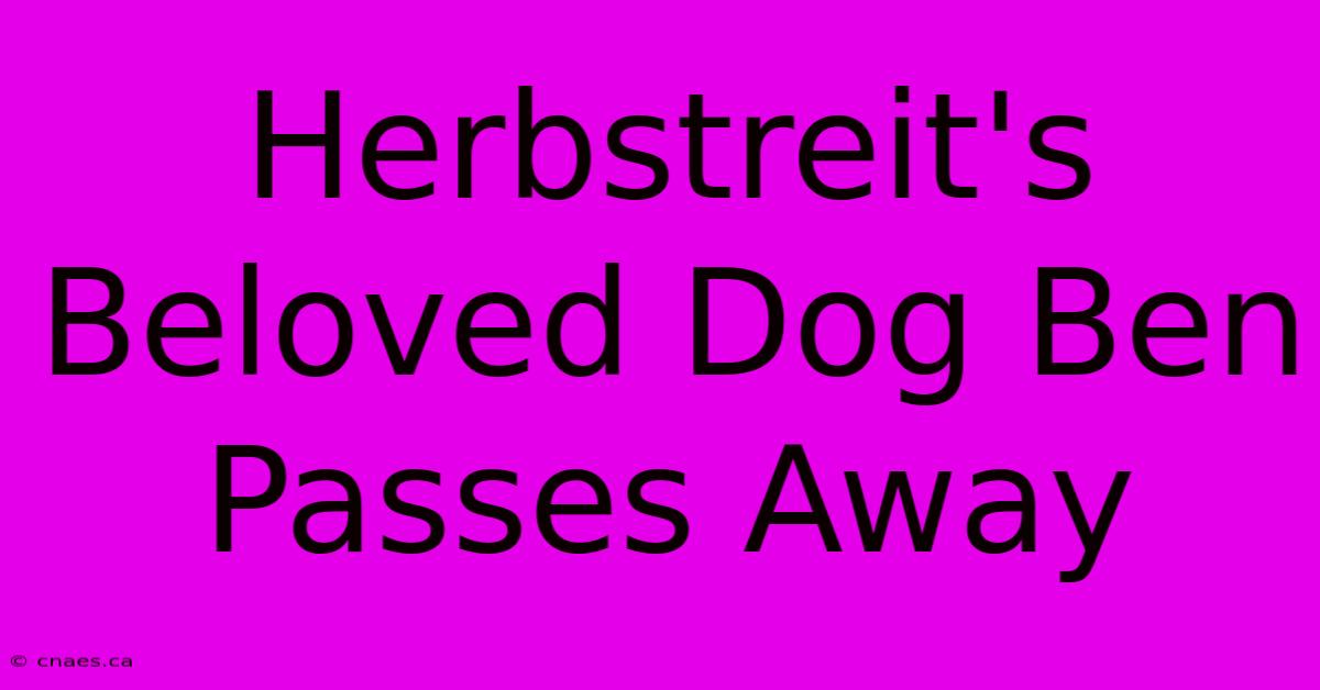 Herbstreit's Beloved Dog Ben Passes Away