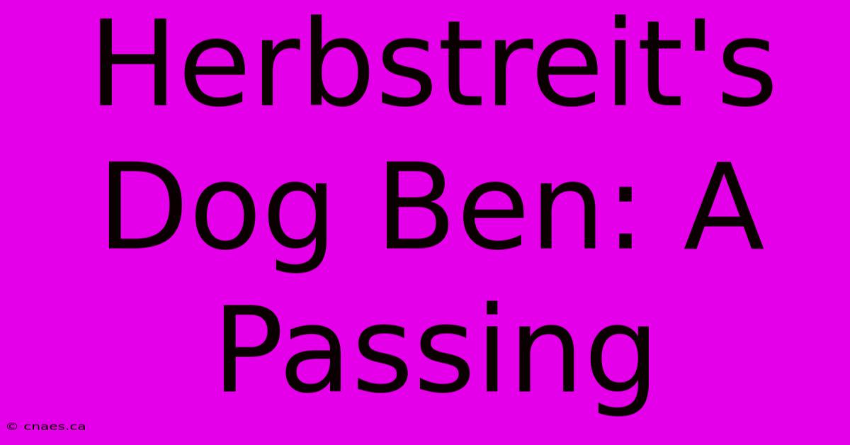 Herbstreit's Dog Ben: A Passing 