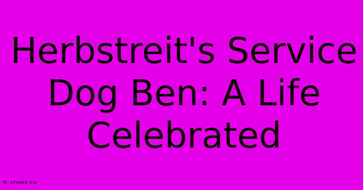 Herbstreit's Service Dog Ben: A Life Celebrated 