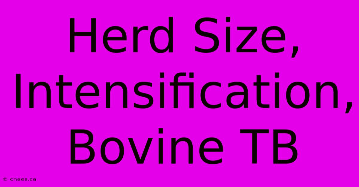 Herd Size, Intensification, Bovine TB