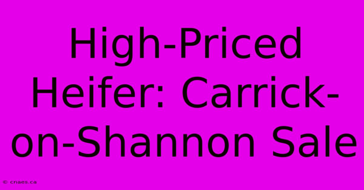 High-Priced Heifer: Carrick-on-Shannon Sale