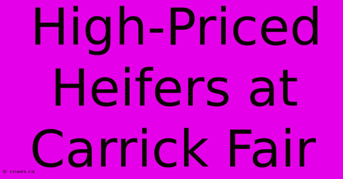 High-Priced Heifers At Carrick Fair