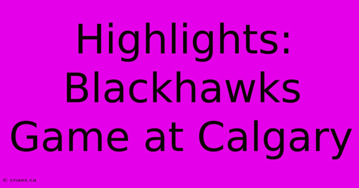 Highlights: Blackhawks Game At Calgary