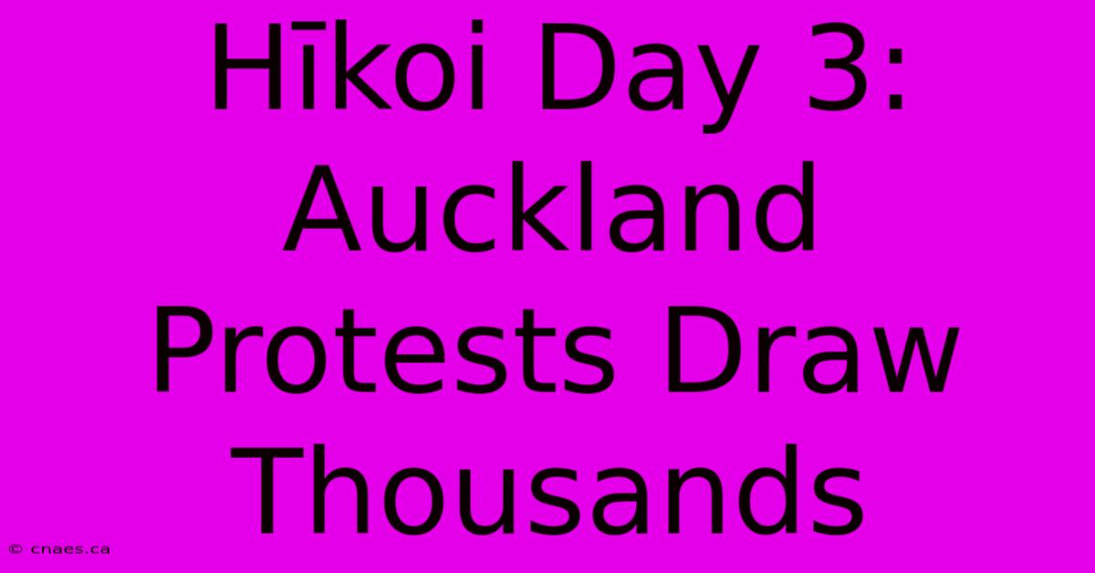 Hīkoi Day 3: Auckland Protests Draw Thousands