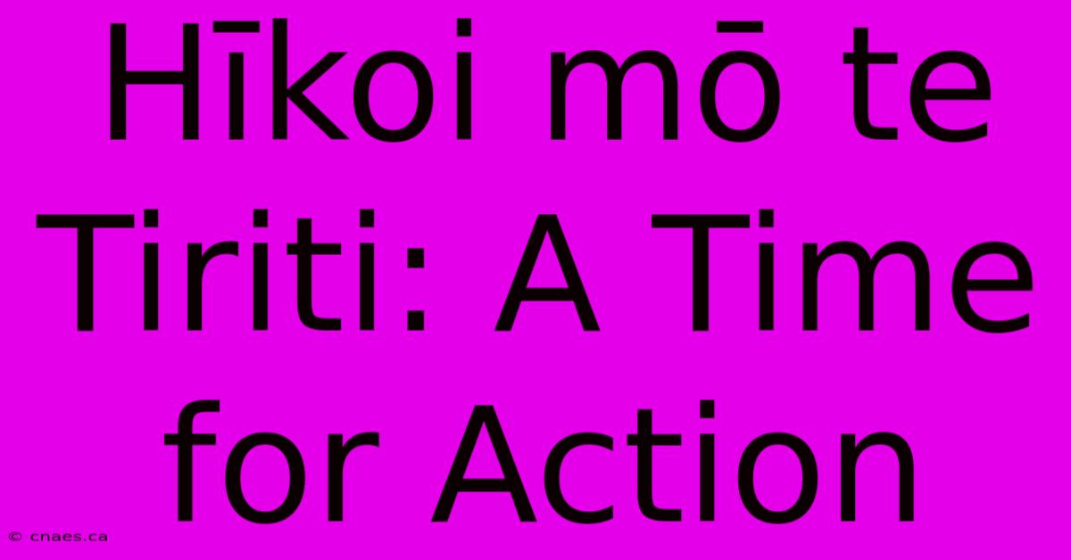 Hīkoi Mō Te Tiriti: A Time For Action 