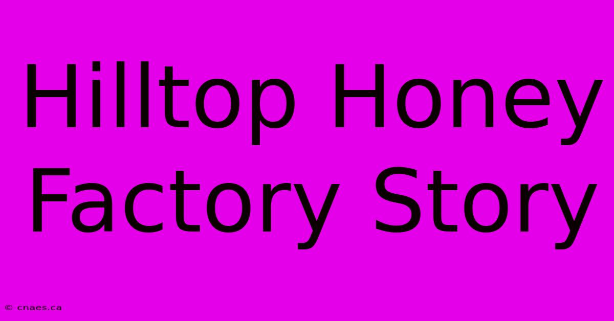 Hilltop Honey Factory Story