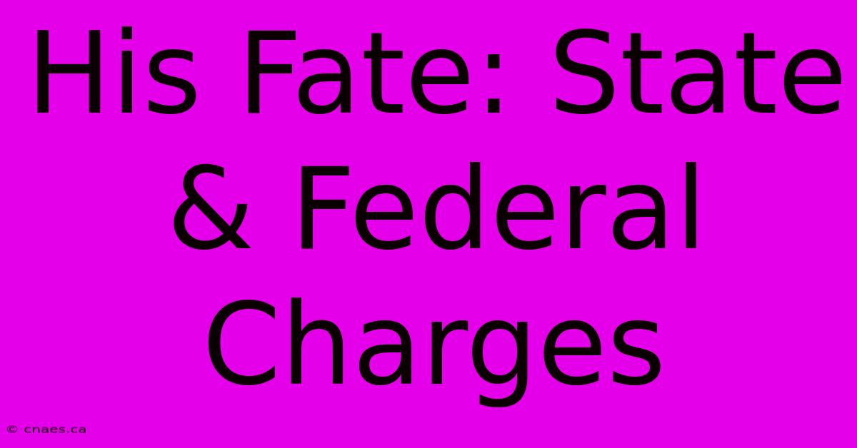 His Fate: State & Federal Charges