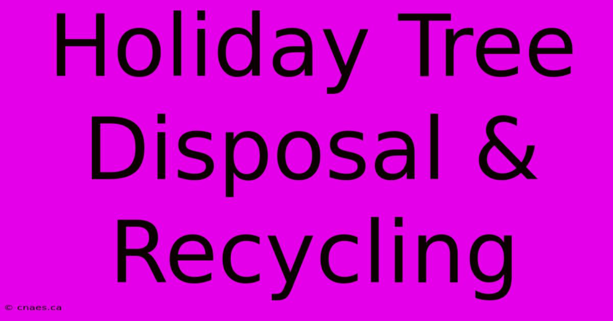 Holiday Tree Disposal & Recycling