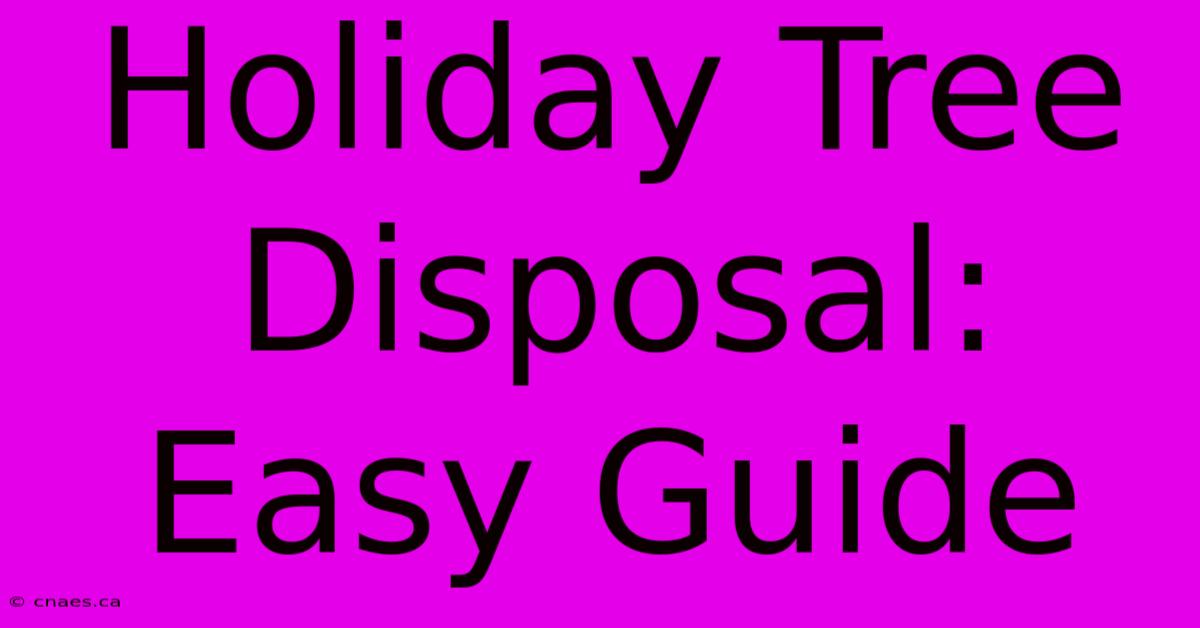 Holiday Tree Disposal: Easy Guide