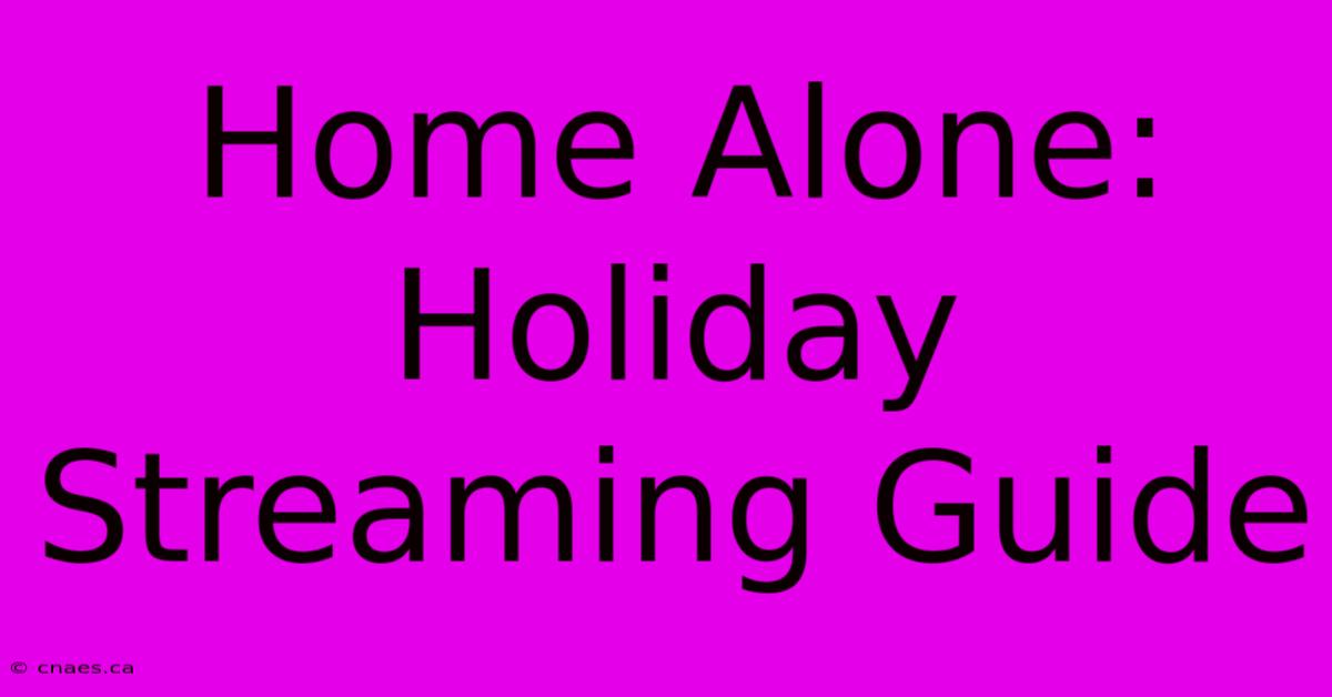 Home Alone: Holiday Streaming Guide