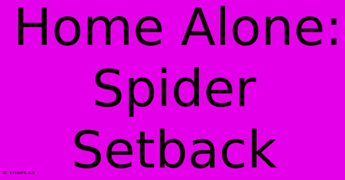 Home Alone: Spider Setback