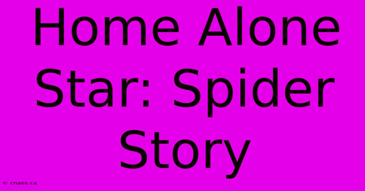 Home Alone Star: Spider Story