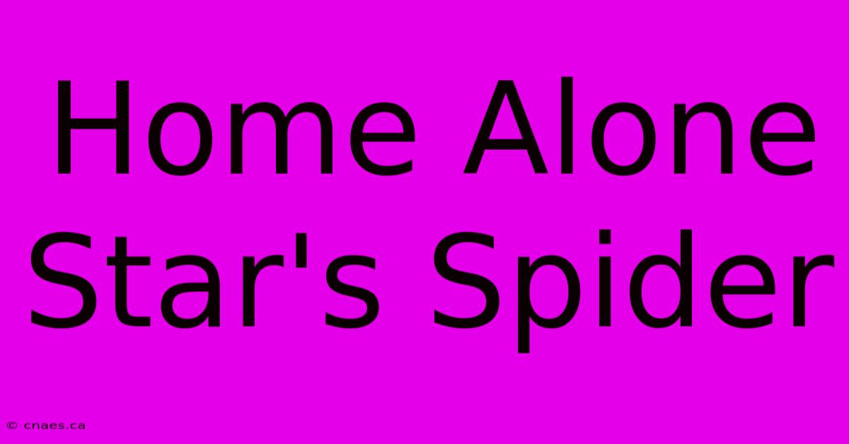 Home Alone Star's Spider