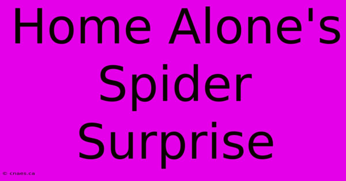 Home Alone's Spider Surprise