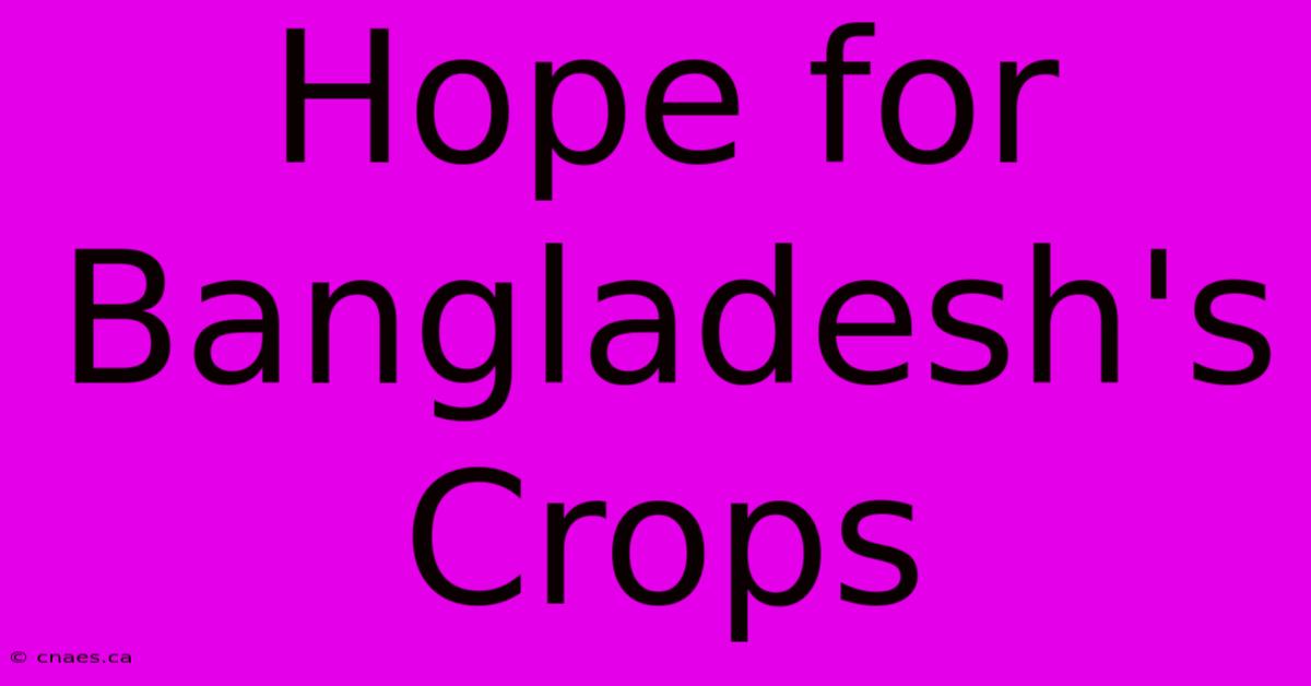 Hope For Bangladesh's Crops