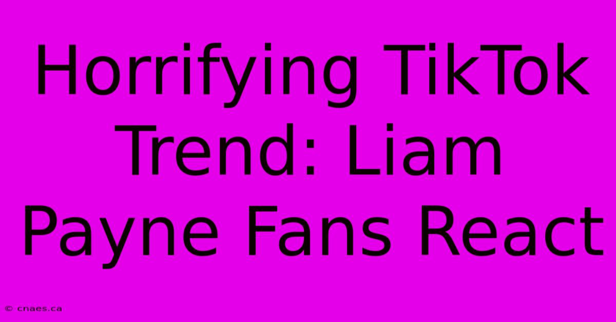 Horrifying TikTok Trend: Liam Payne Fans React