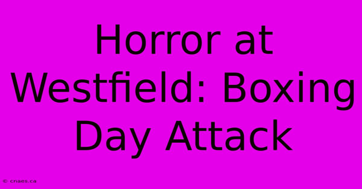 Horror At Westfield: Boxing Day Attack