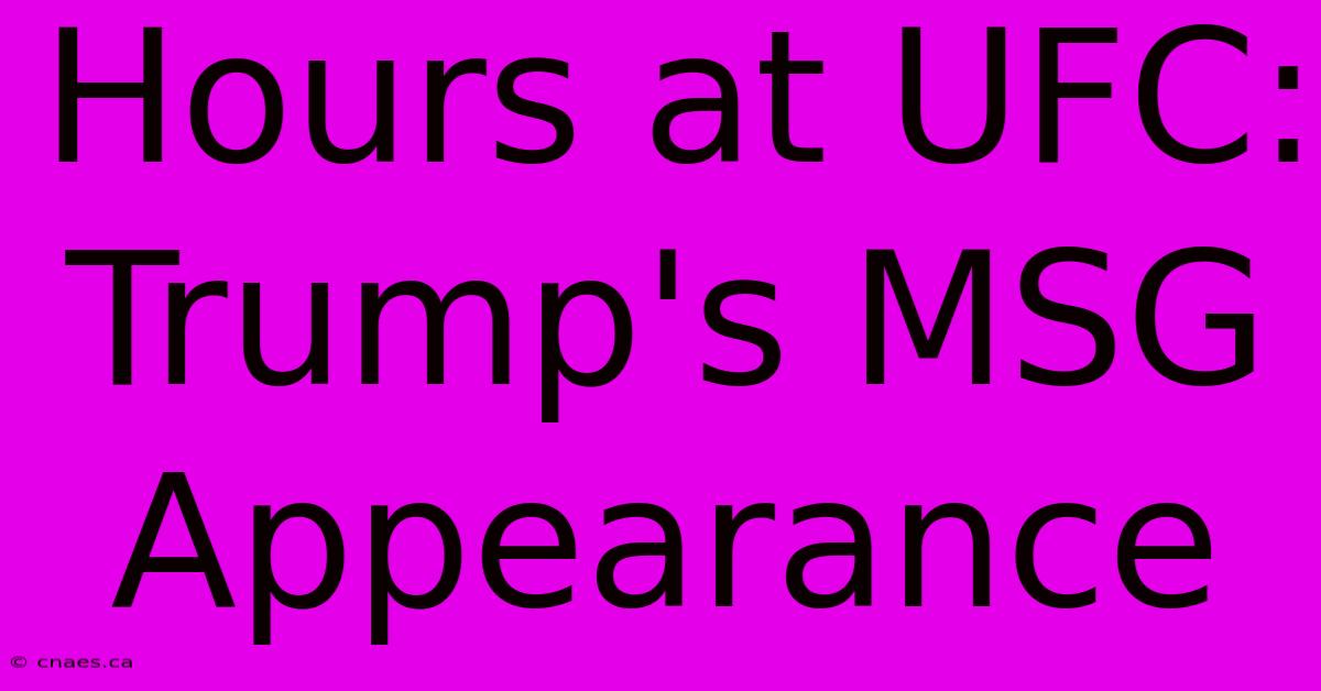 Hours At UFC: Trump's MSG Appearance