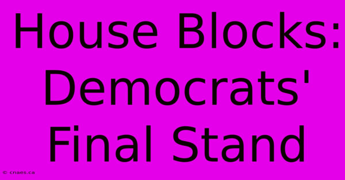 House Blocks: Democrats' Final Stand 