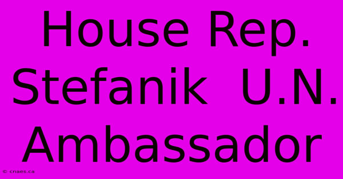 House Rep. Stefanik  U.N. Ambassador