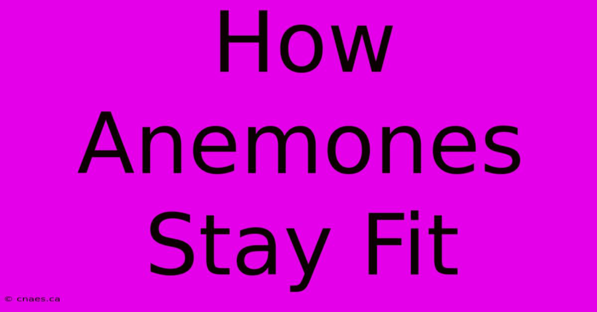 How Anemones Stay Fit