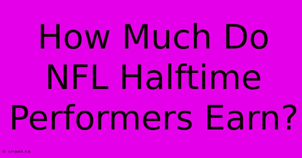 How Much Do NFL Halftime Performers Earn?