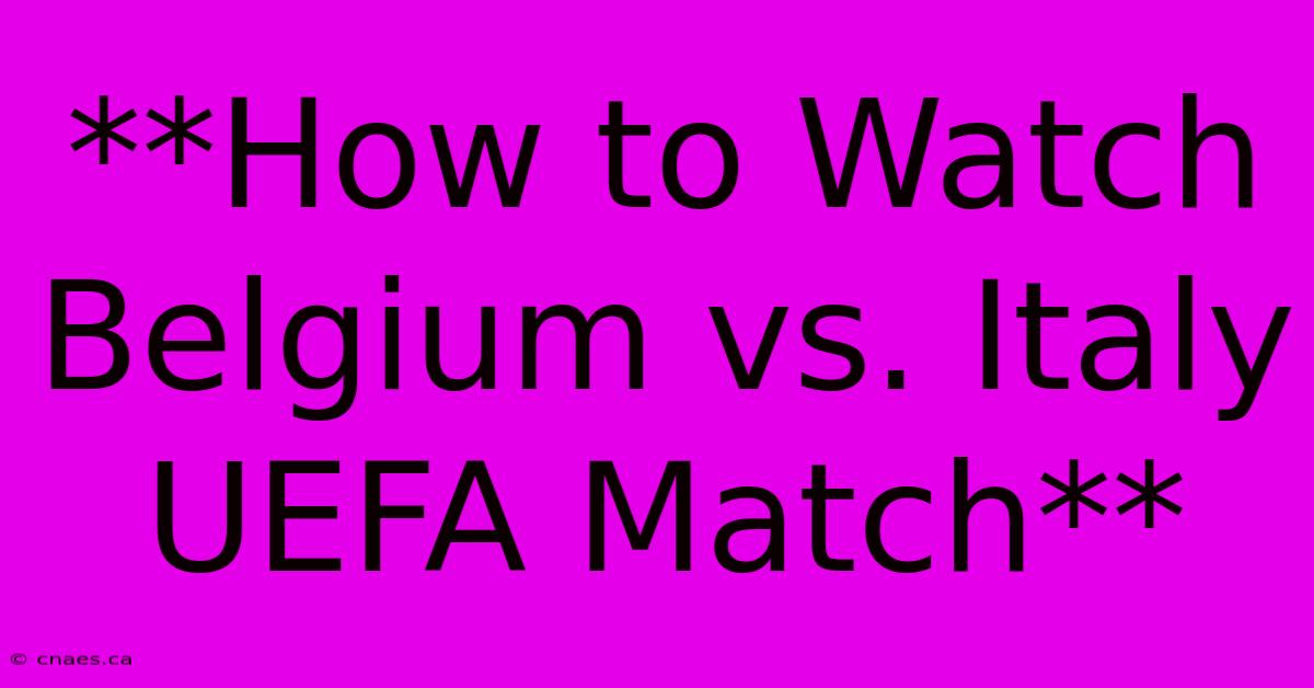 **How To Watch Belgium Vs. Italy UEFA Match**