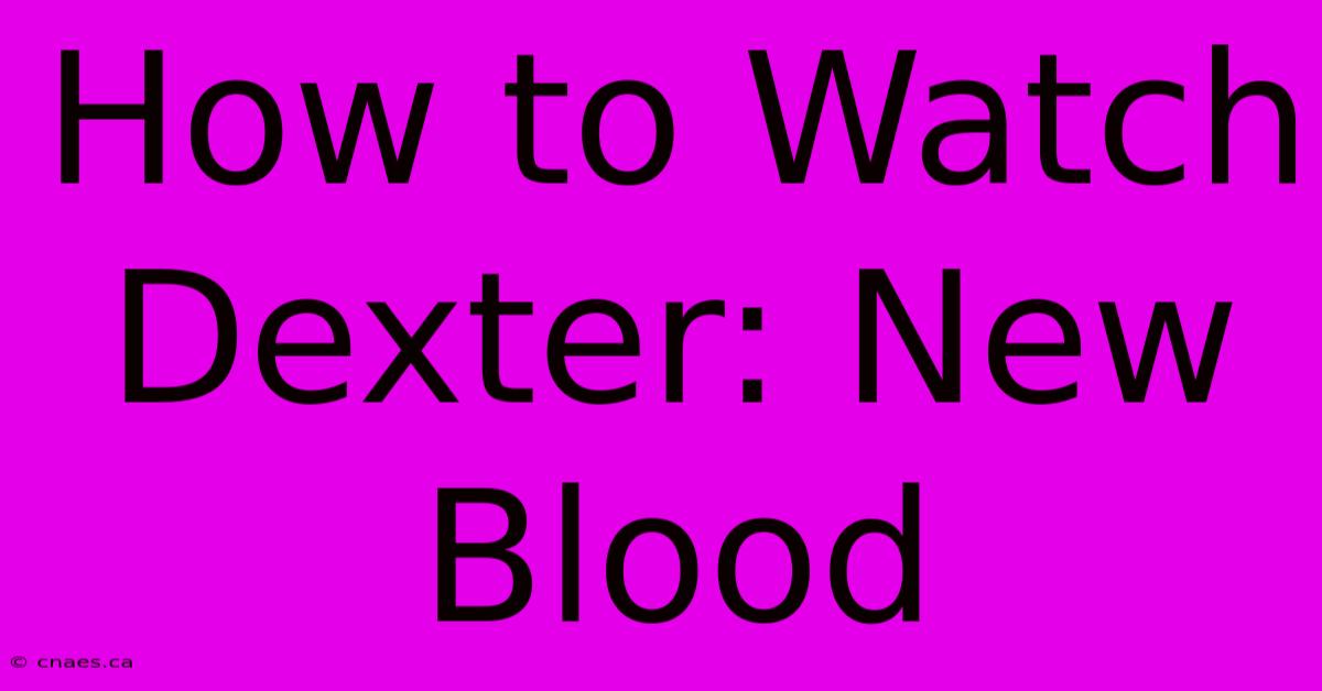 How To Watch Dexter: New Blood