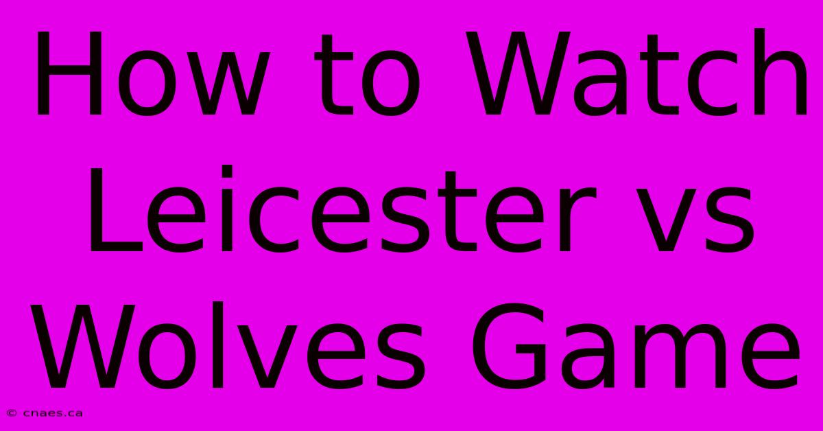 How To Watch Leicester Vs Wolves Game