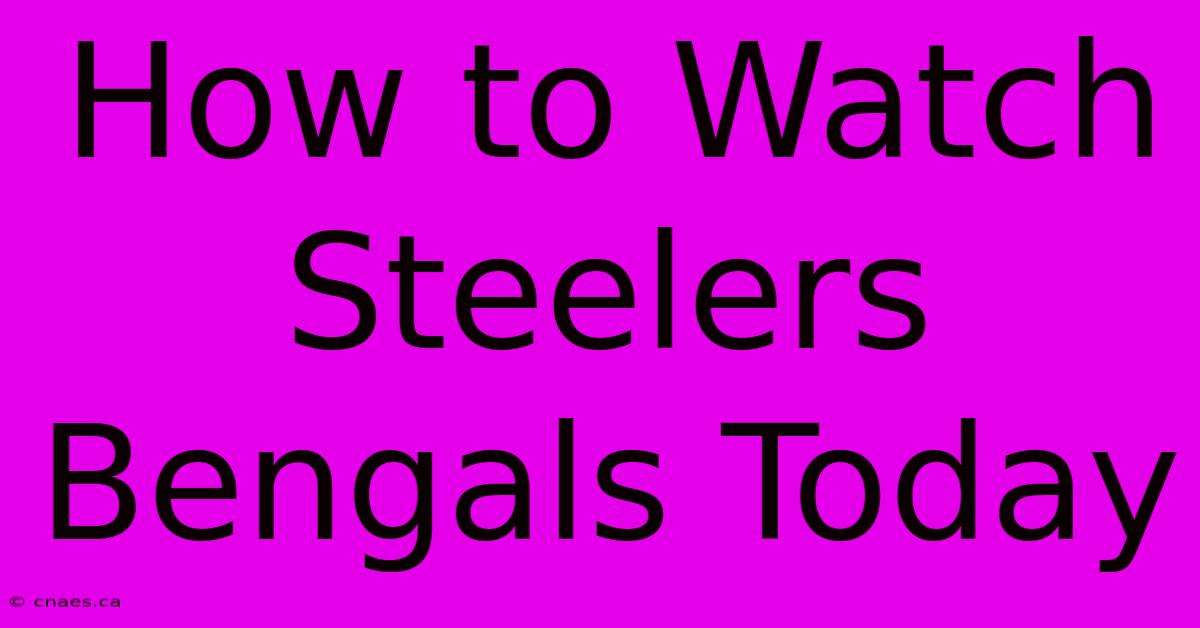 How To Watch Steelers Bengals Today