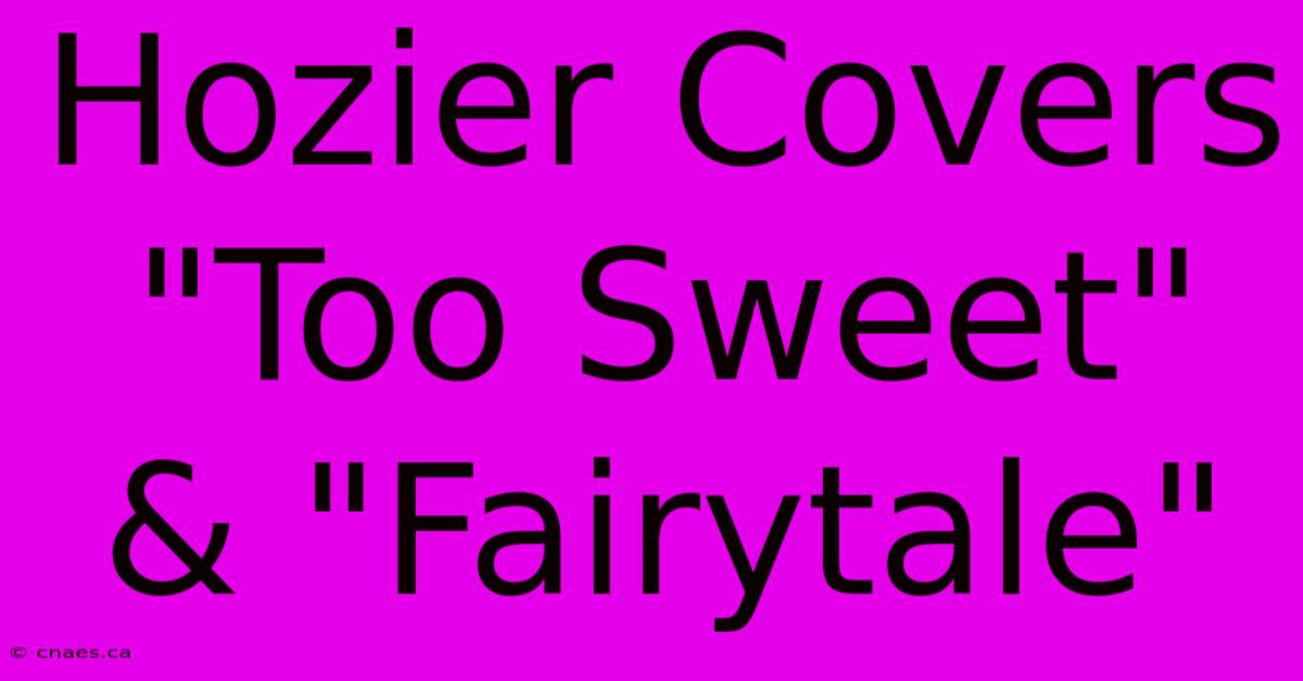 Hozier Covers 