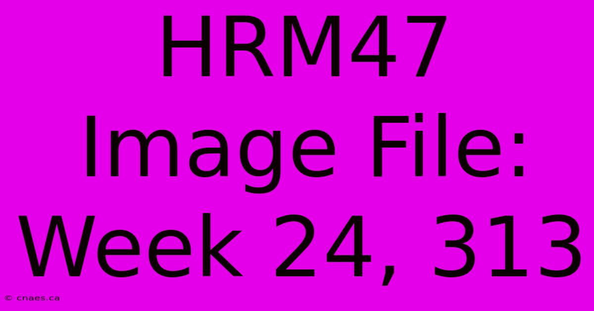 HRM47 Image File: Week 24, 313