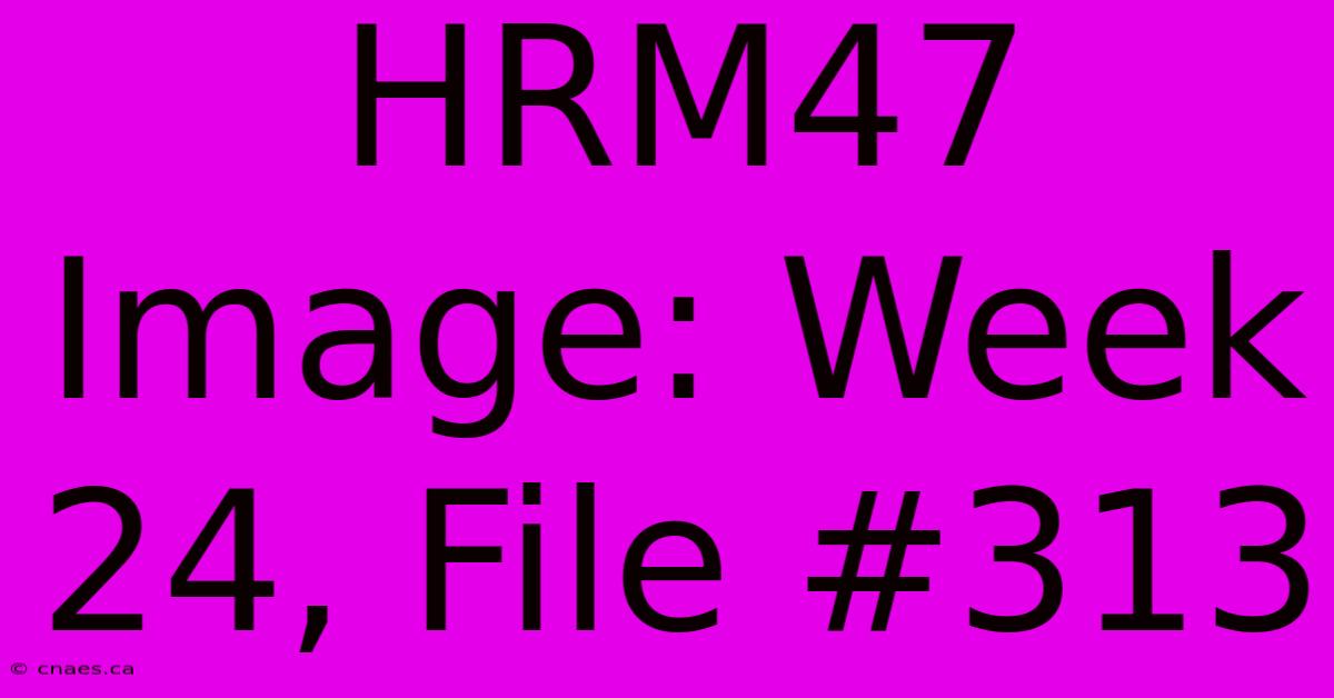 HRM47 Image: Week 24, File #313