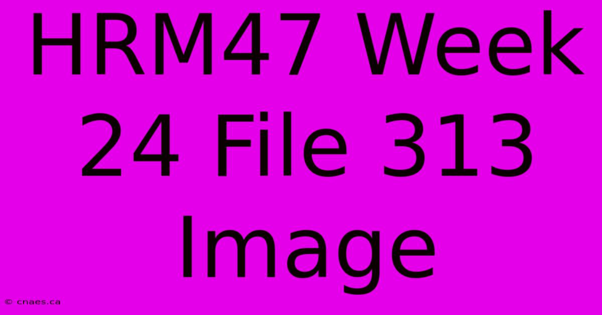 HRM47 Week 24 File 313 Image