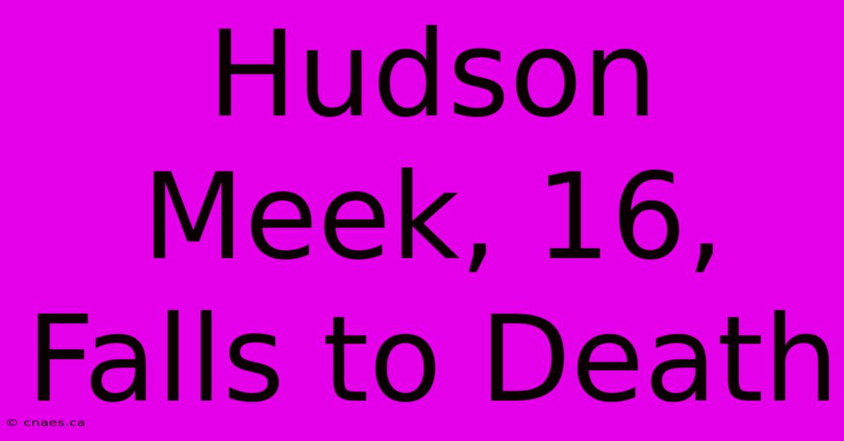 Hudson Meek, 16, Falls To Death