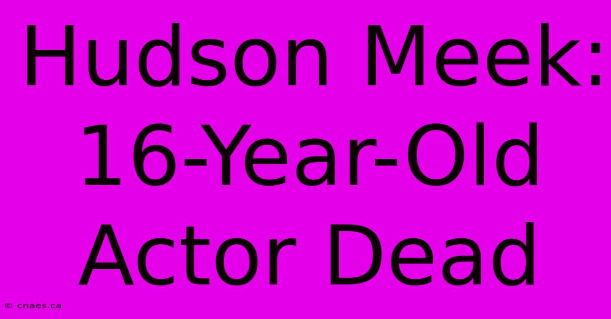 Hudson Meek: 16-Year-Old Actor Dead