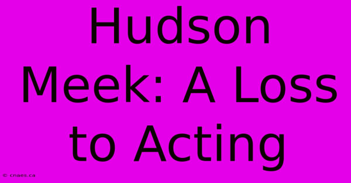 Hudson Meek: A Loss To Acting