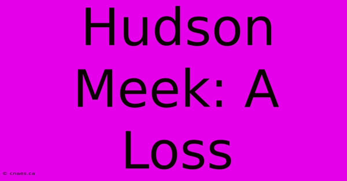 Hudson Meek: A Loss