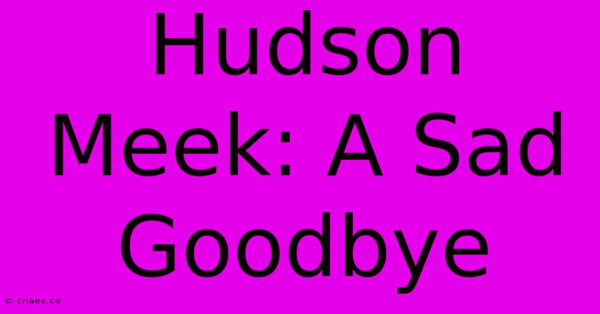 Hudson Meek: A Sad Goodbye